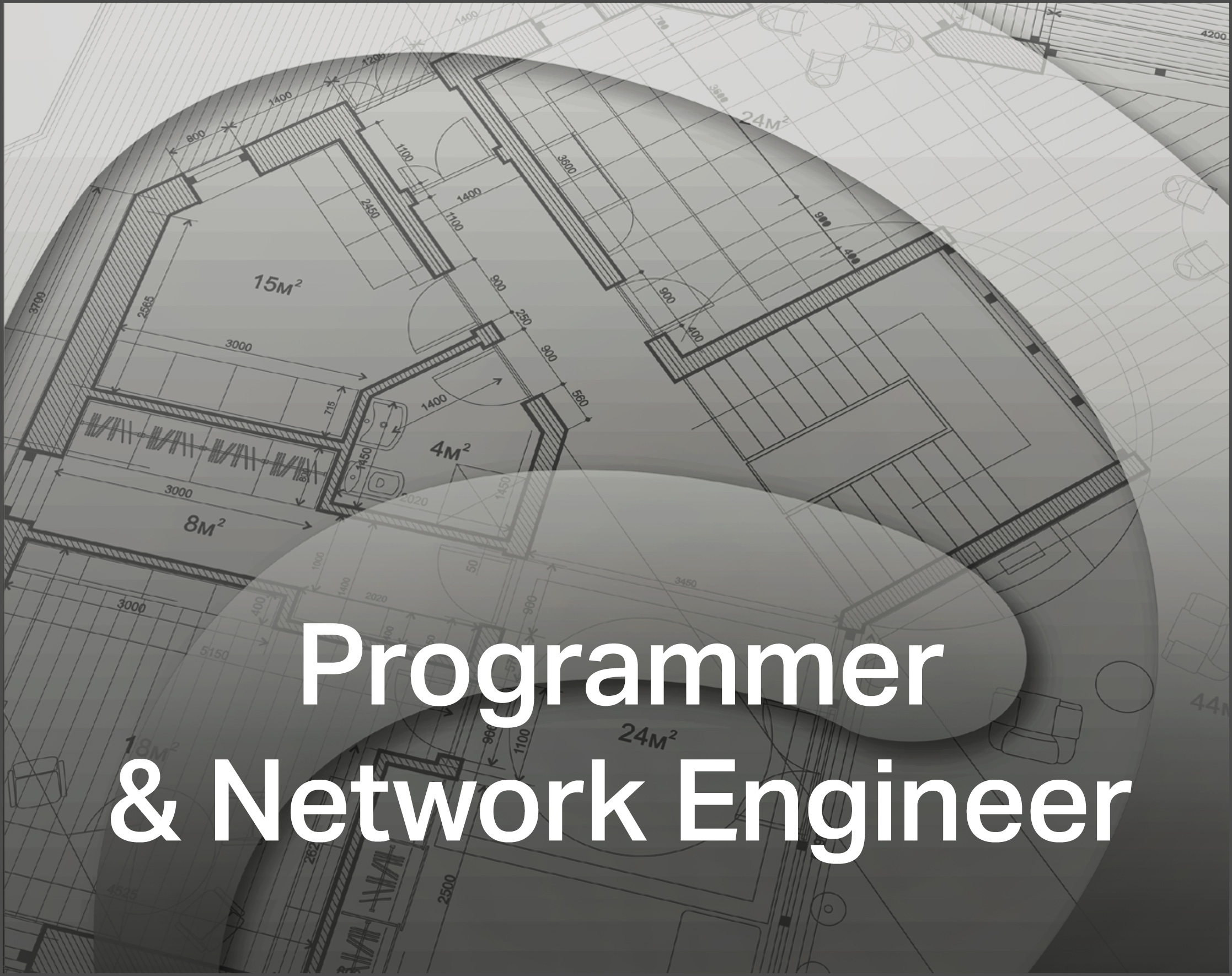 Programmer & Network Engineer
