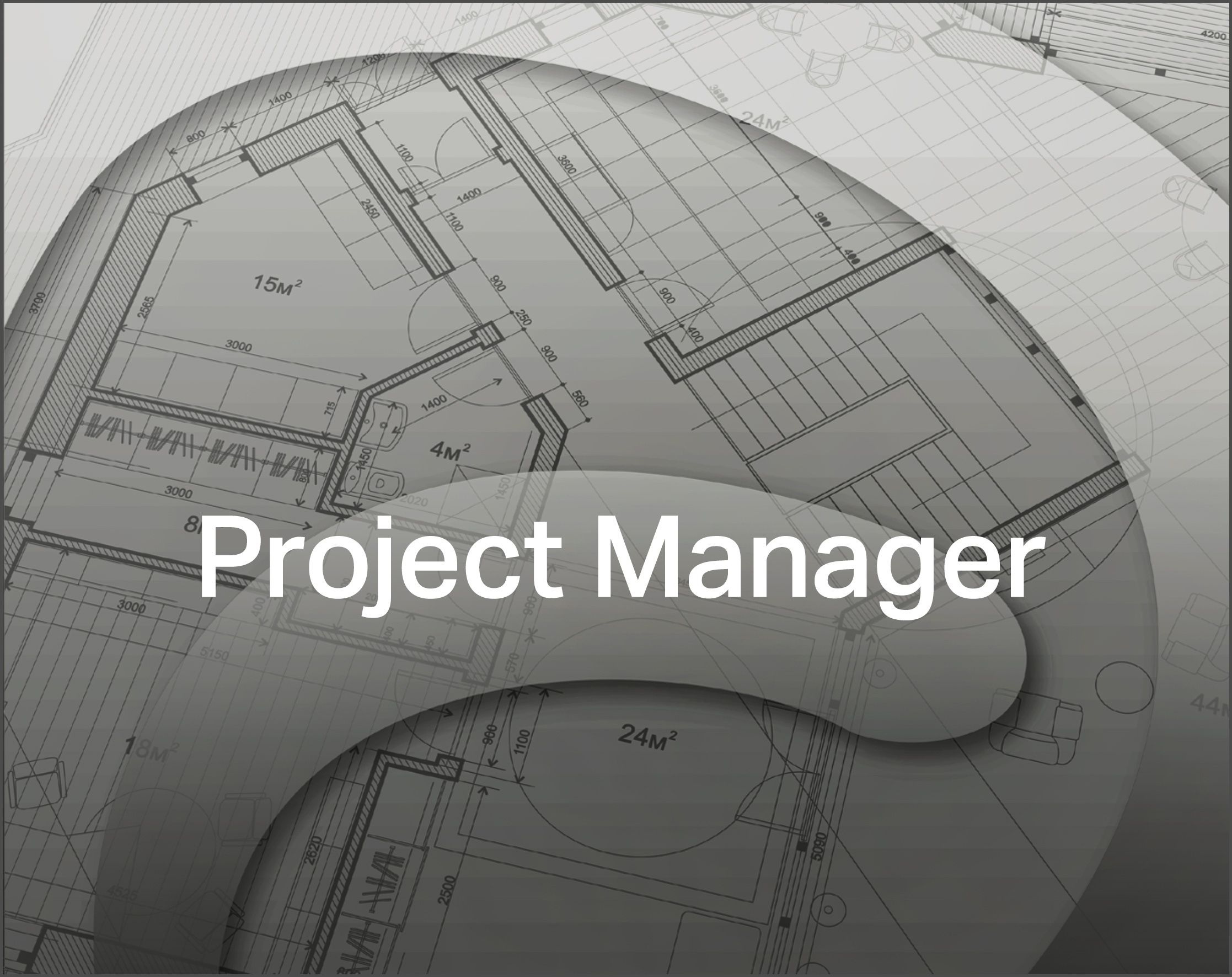 Project Manager